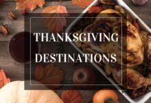 Luxury Business Class International Flights Provide Unparalleled Comfort And Luxury For Your Next Trip.