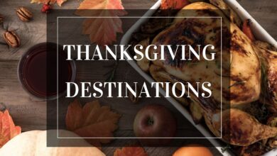 Luxury Business Class International Flights Provide Unparalleled Comfort And Luxury For Your Next Trip.